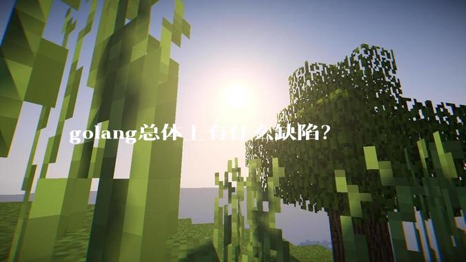 golang总体上有什么缺陷？
