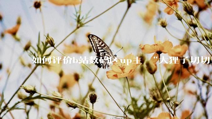 如何评价b站数码区up主 “大狸子切切里”?