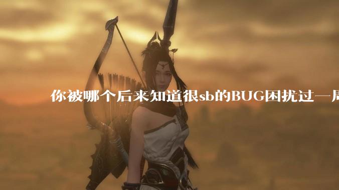 你被哪个后来知道很sb的BUG困扰过一周以上吗？