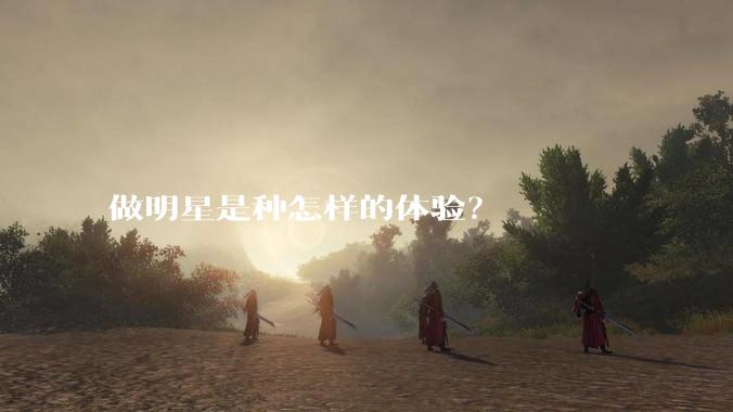 做明星是种怎样的体验？