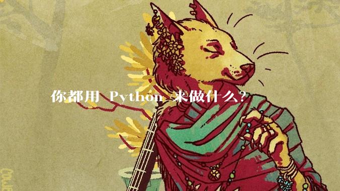 你都用 Python 来做什么？